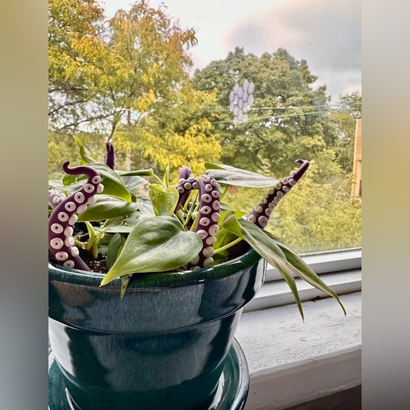 8 Lime Green Sea Creature Tentacles 🦑Decor Tentacle Unique Modern Indoor Plant - Picture 7 of 10